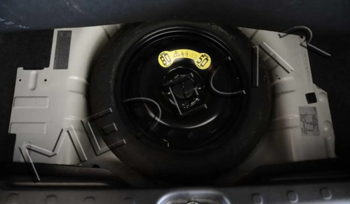 Fiat Panda usata a Potenza (15)