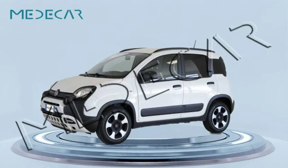 Fiat Panda usata a Potenza (2)
