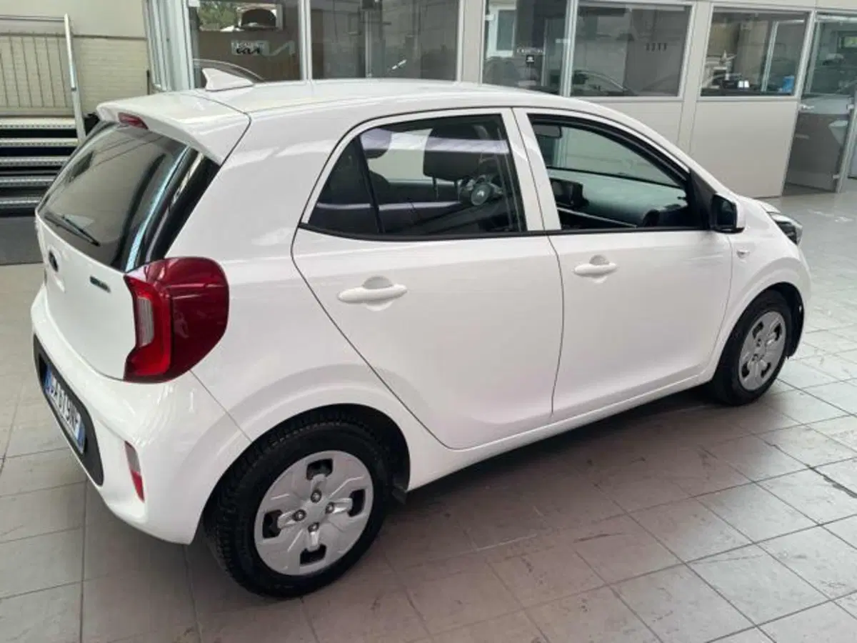 Kia Picanto nuova a Pesaro-Urbino (2)