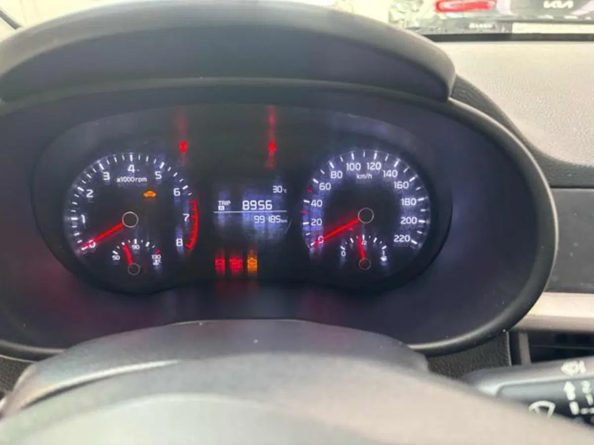 Kia Picanto nuova a Pesaro-Urbino (7)