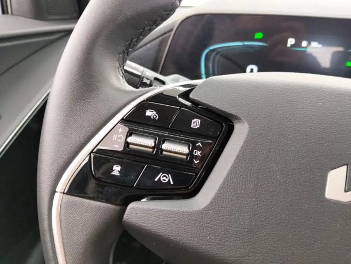 Kia Niro usata a Como (11)