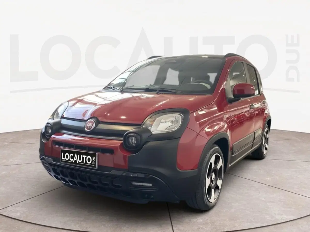 Fiat Pandina usata a Torino