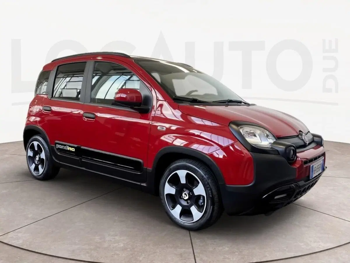Fiat Pandina usata a Torino (3)