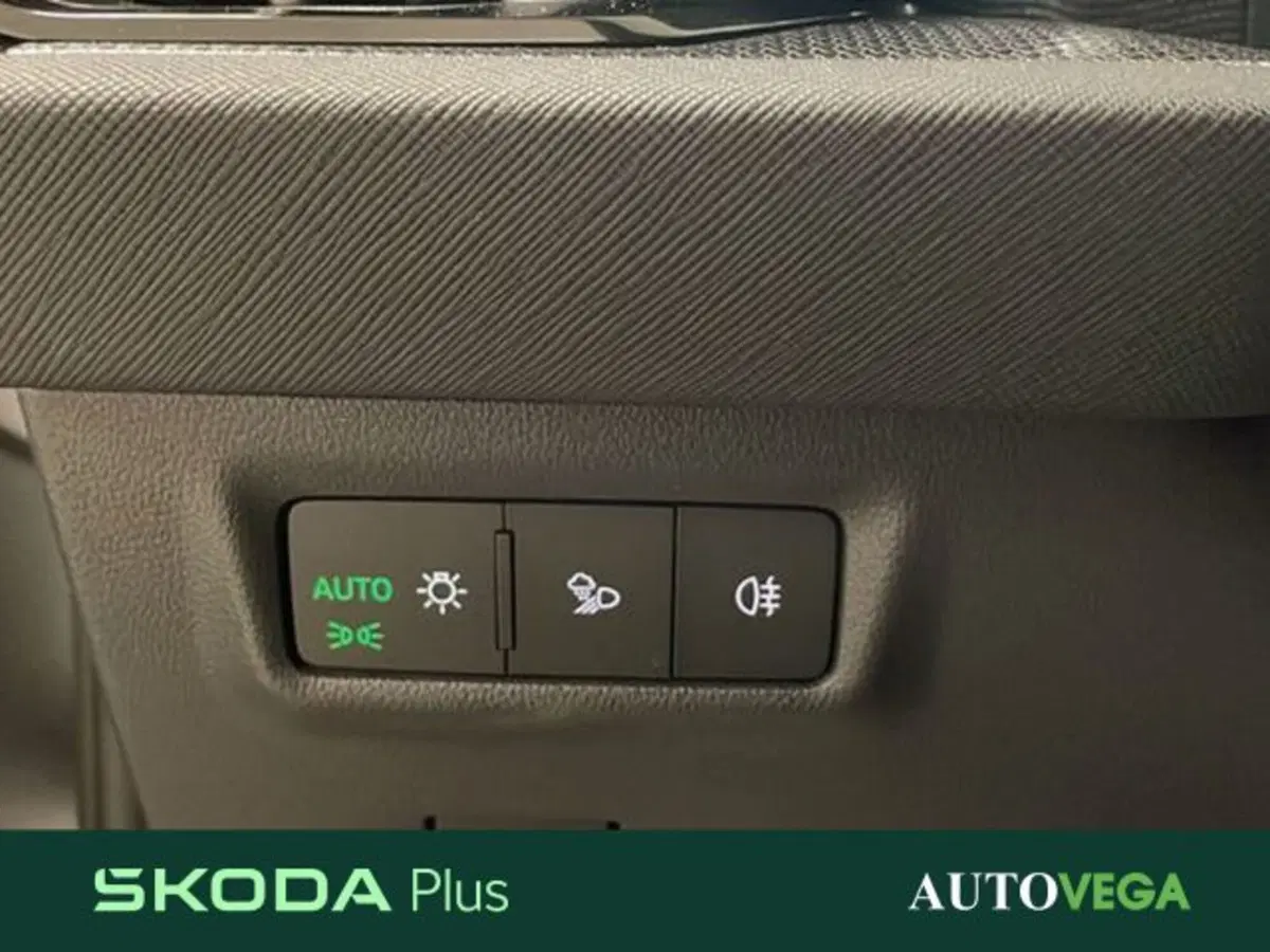Skoda Kodiaq usata a Vicenza (18)