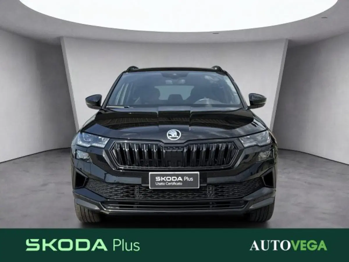 Skoda Karoq usata a Vicenza (2)