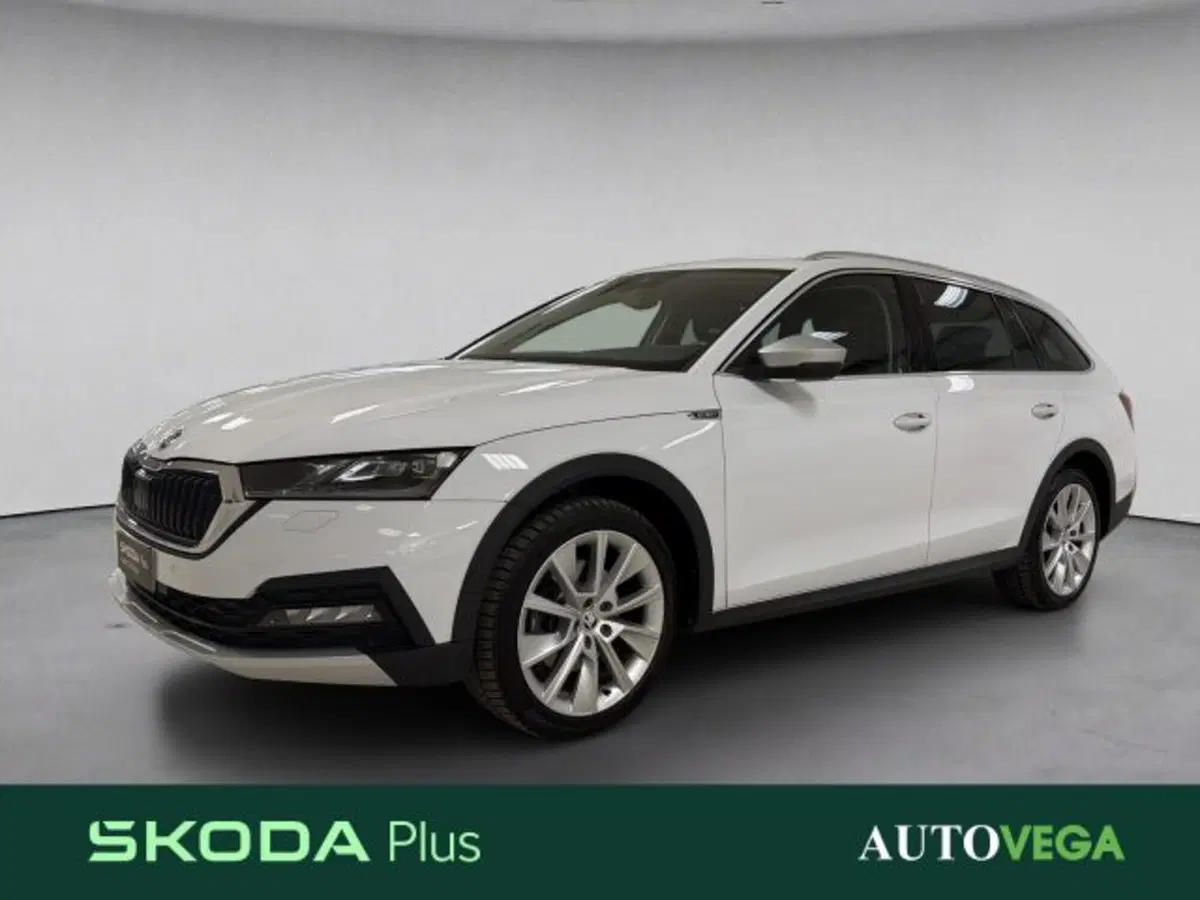 Skoda Octavia Station Wagon usata a Vicenza