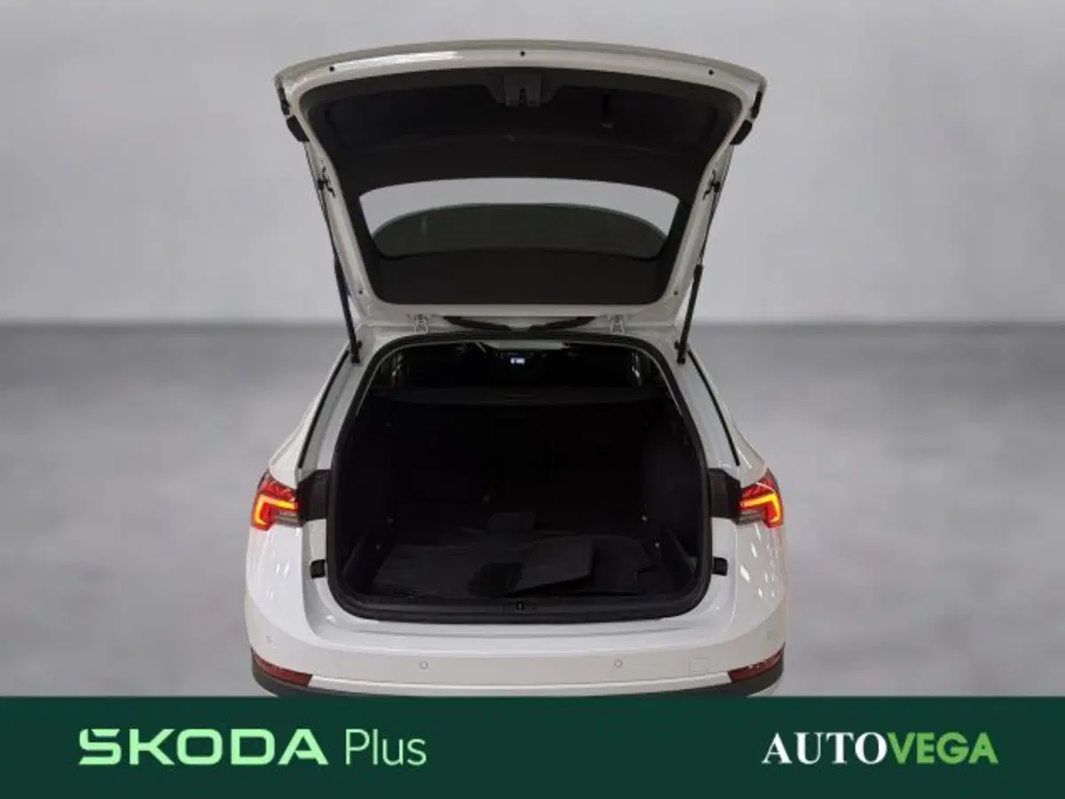 Skoda Octavia Station Wagon usata a Vicenza (17)