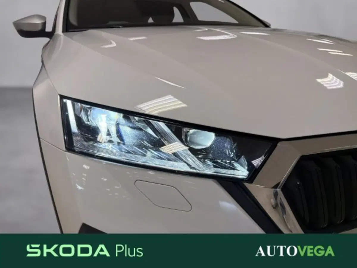 Skoda Octavia Station Wagon usata a Vicenza (19)