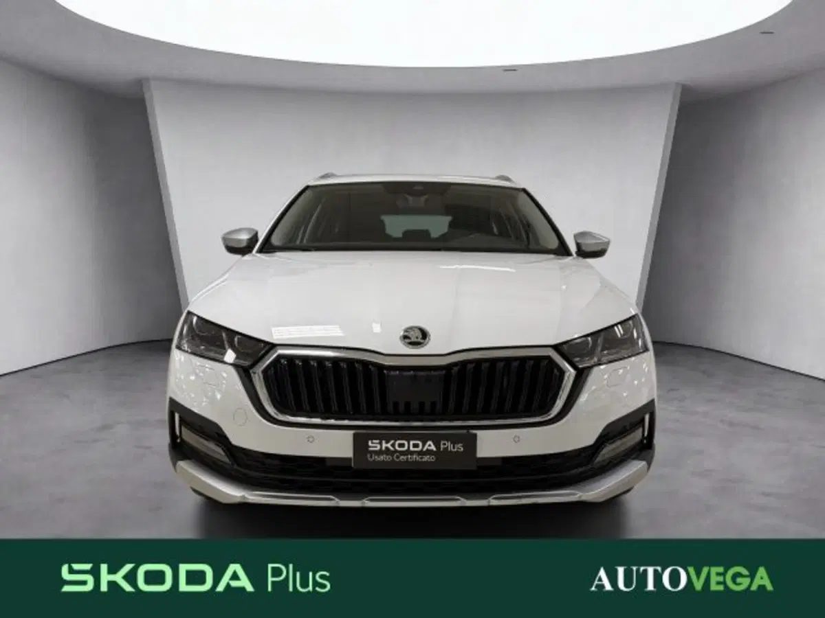 Skoda Octavia Station Wagon usata a Vicenza (2)