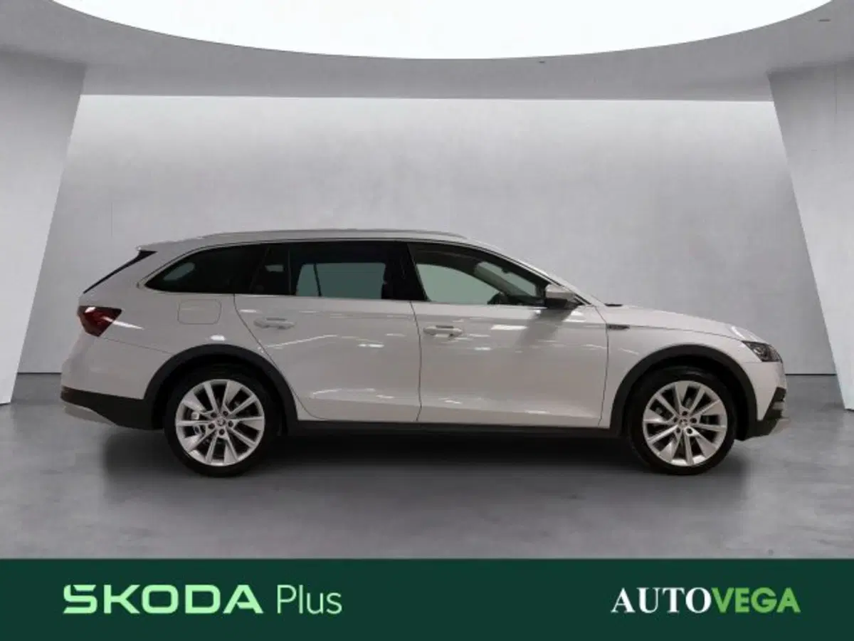 Skoda Octavia Station Wagon usata a Vicenza (3)