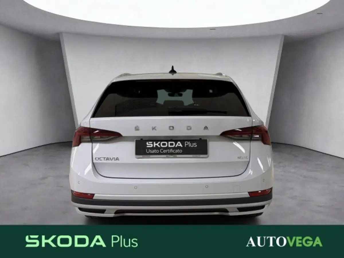 Skoda Octavia Station Wagon usata a Vicenza (5)