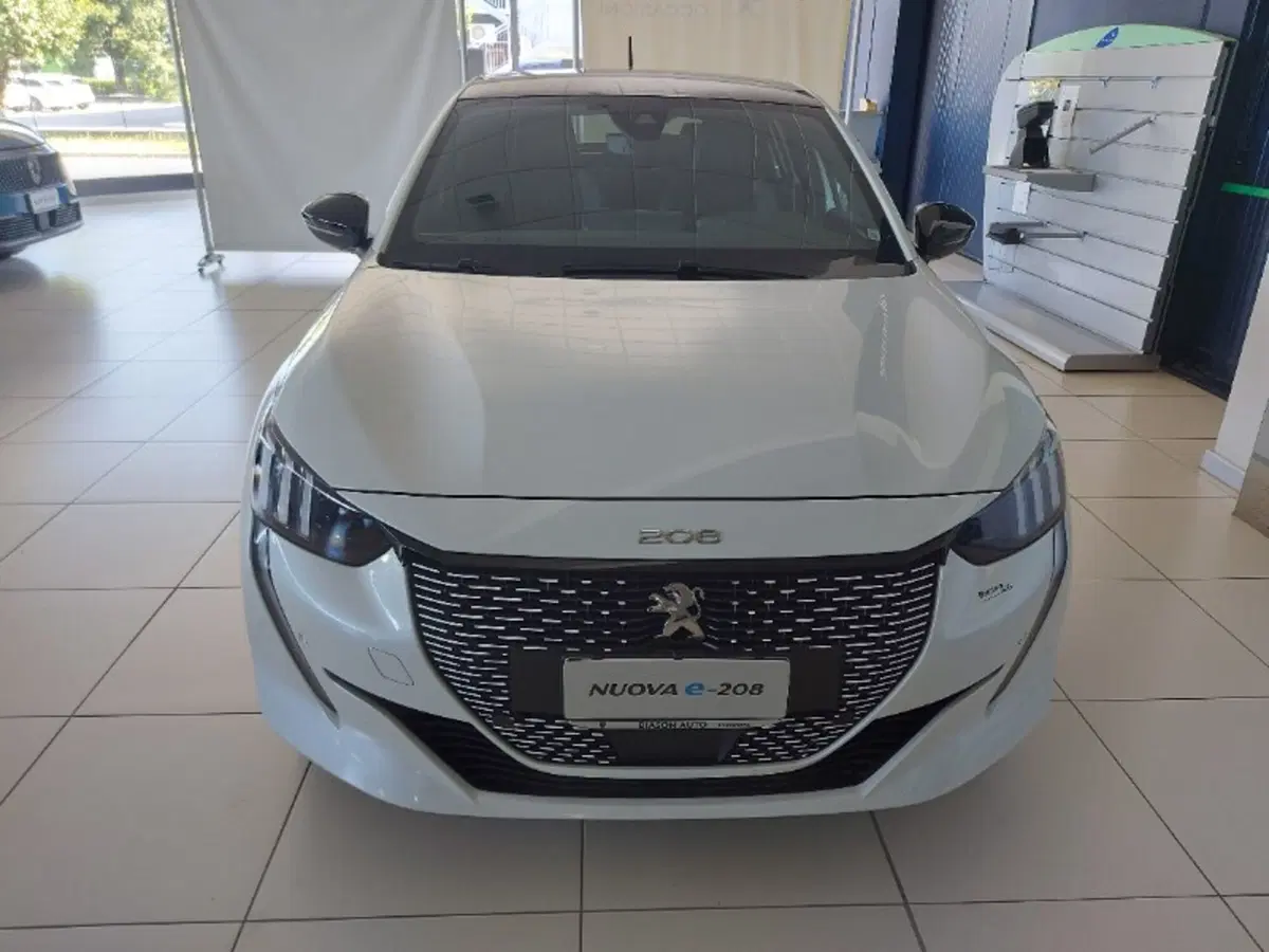 Peugeot 208 usata a Pordenone (2)