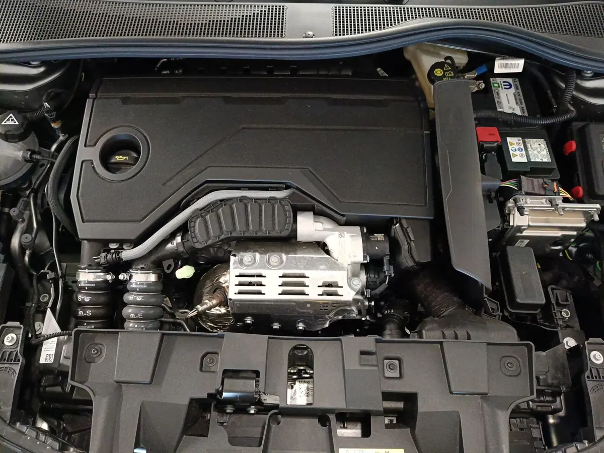 Alfa Romeo Junior usata a Ascoli Piceno (10)