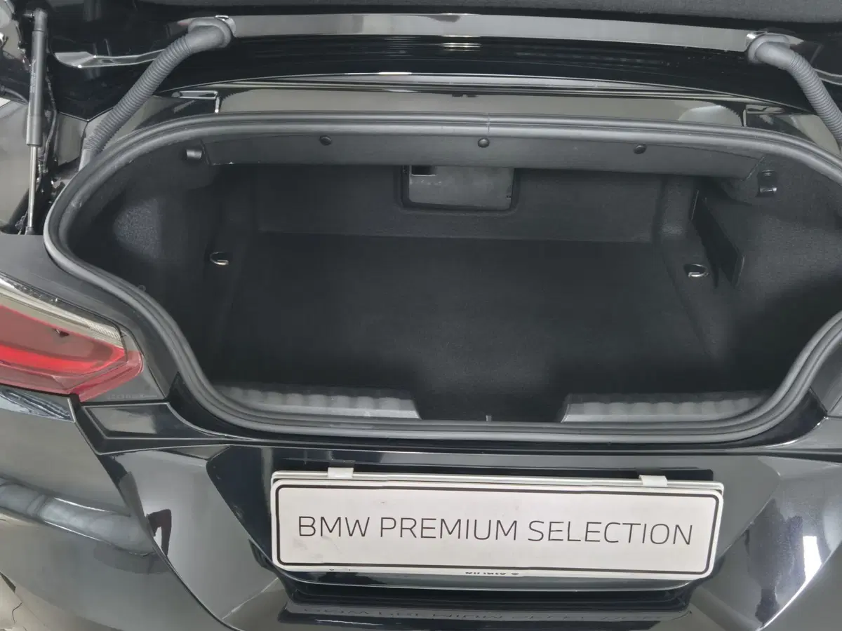 BMW Z4 Cabrio usata a Torino (13)