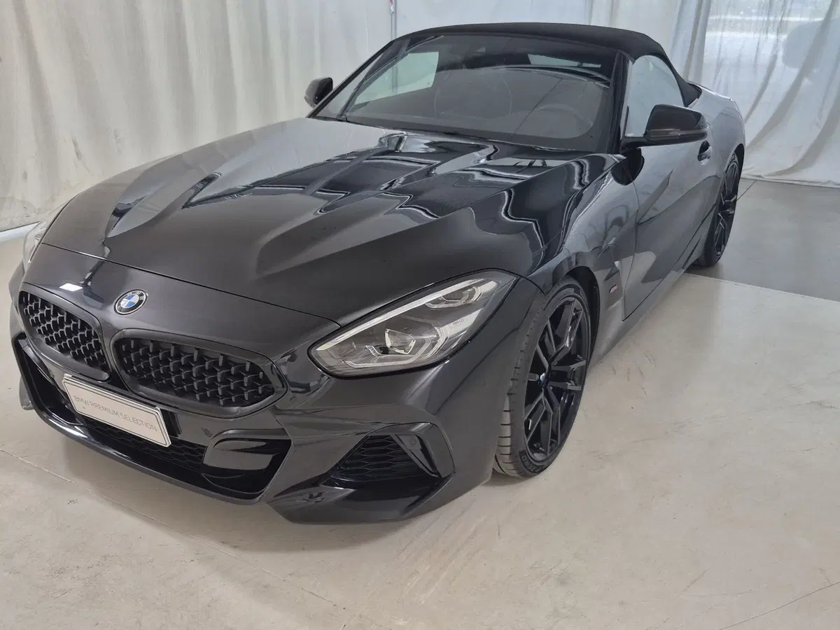 BMW Z4 Cabrio usata a Torino (20)