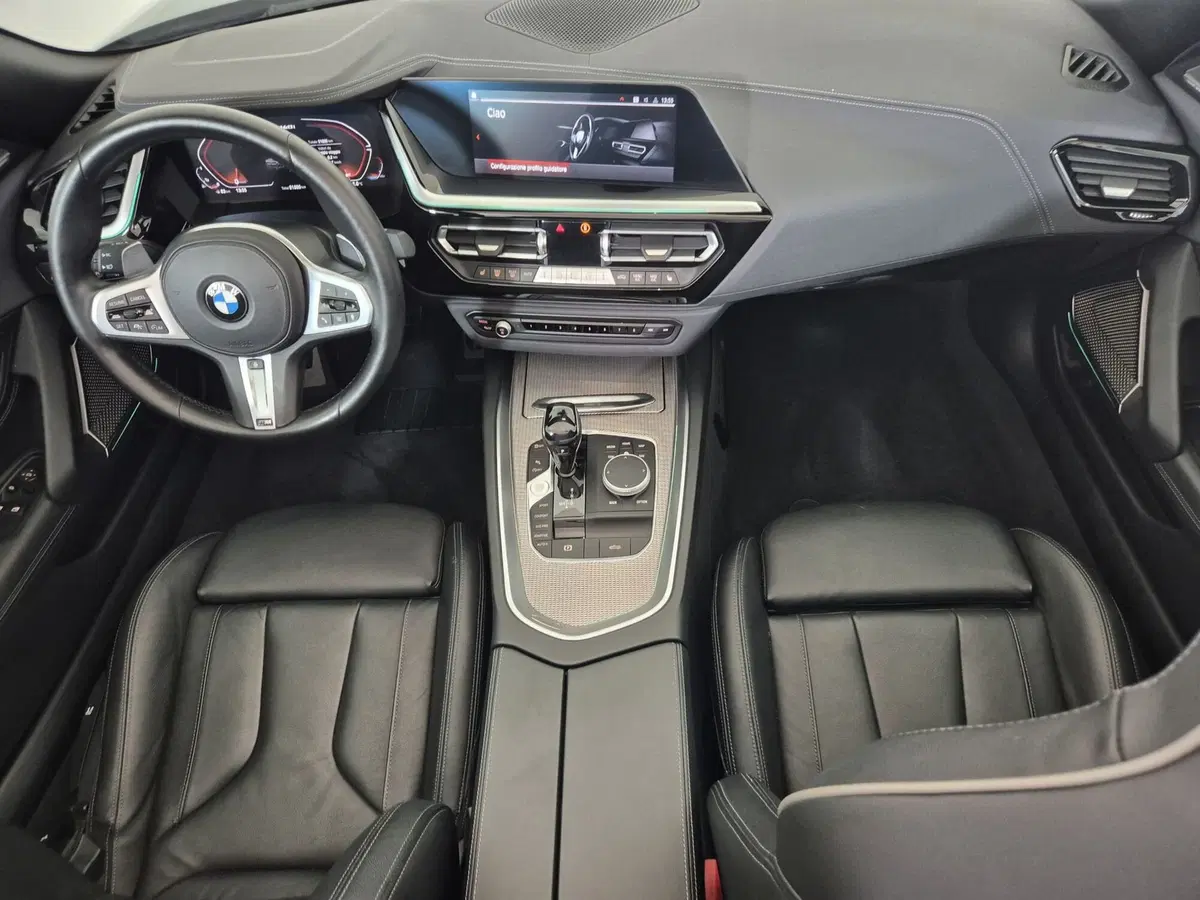 BMW Z4 Cabrio usata a Torino (8)