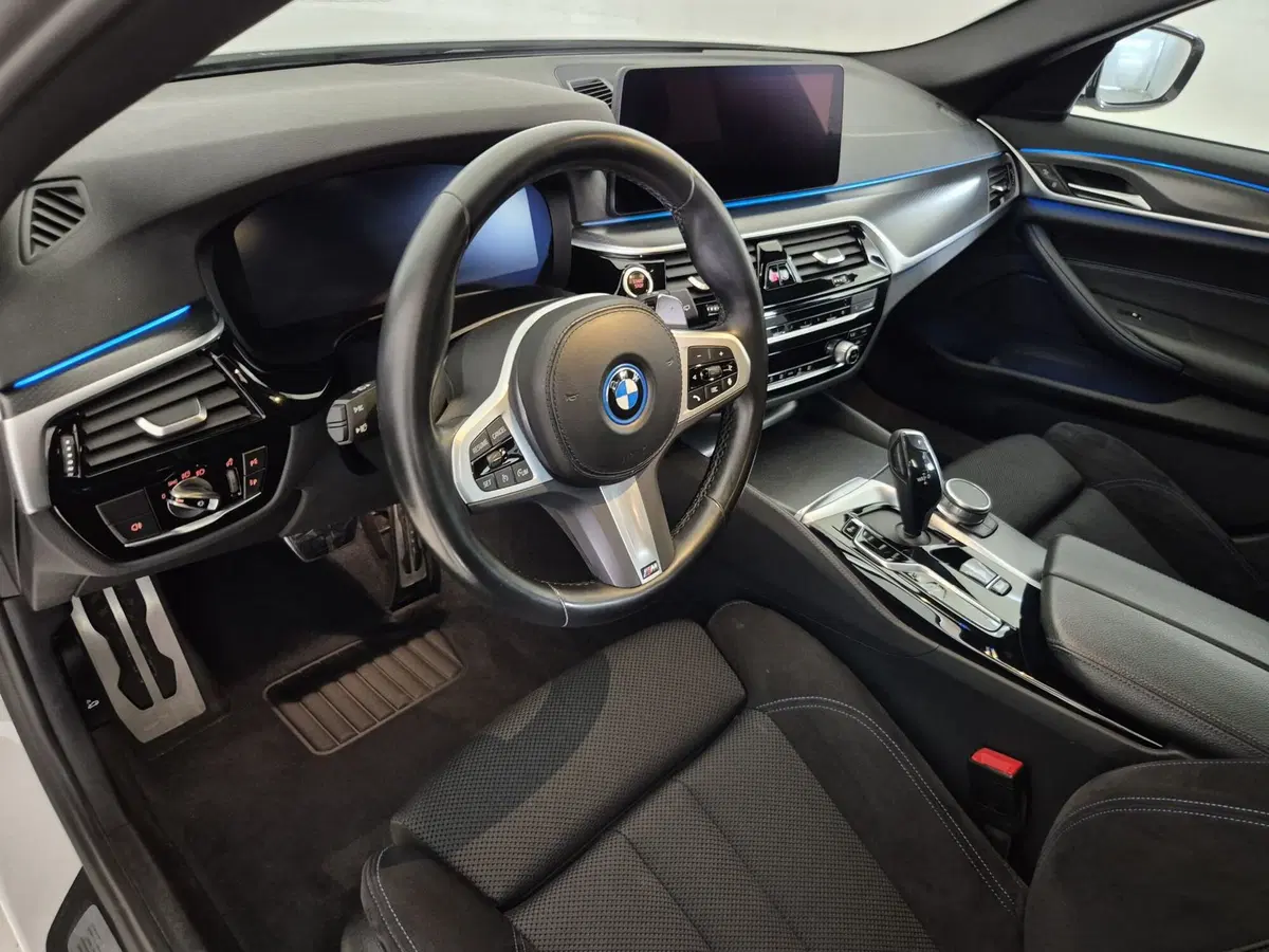 BMW Serie 5 Touring usata a Torino (7)