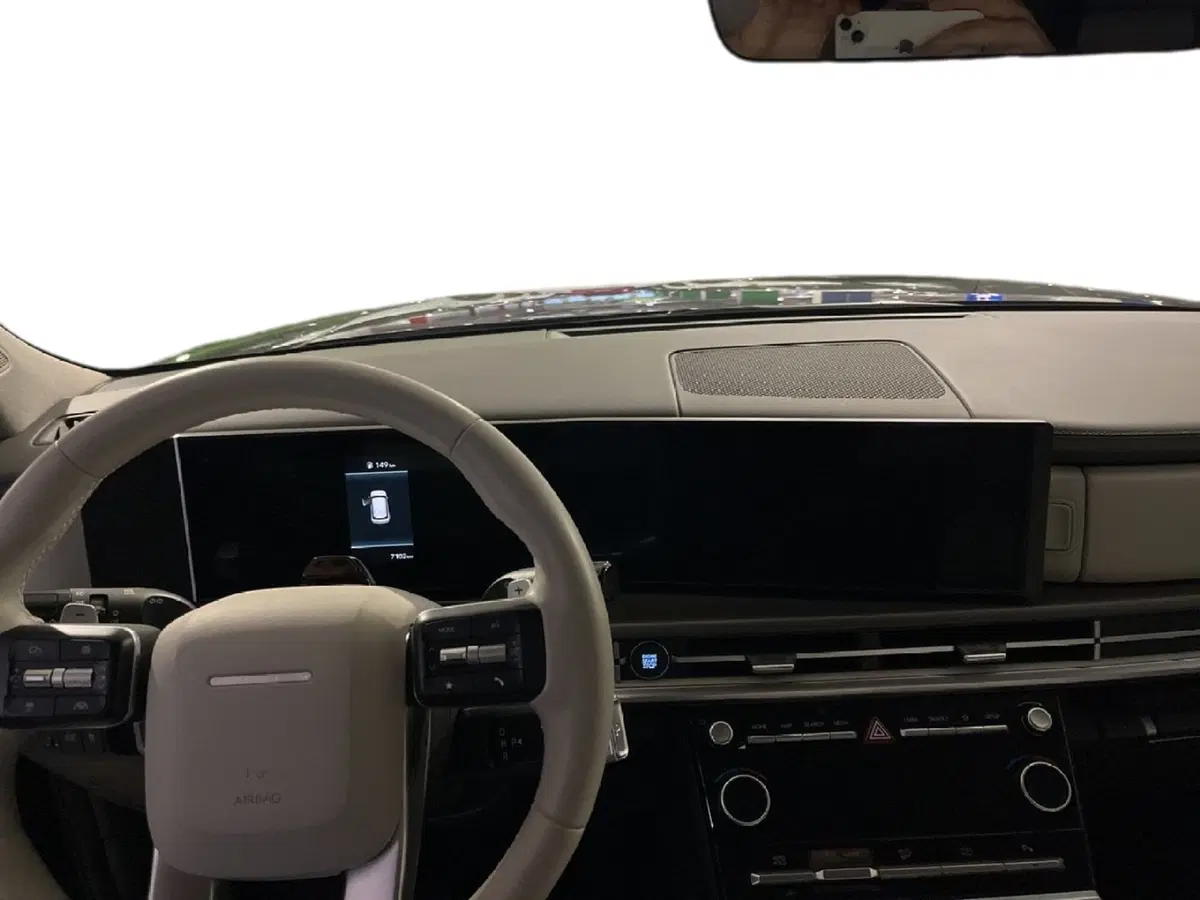 Hyundai Santa Fe usata a Torino (10)