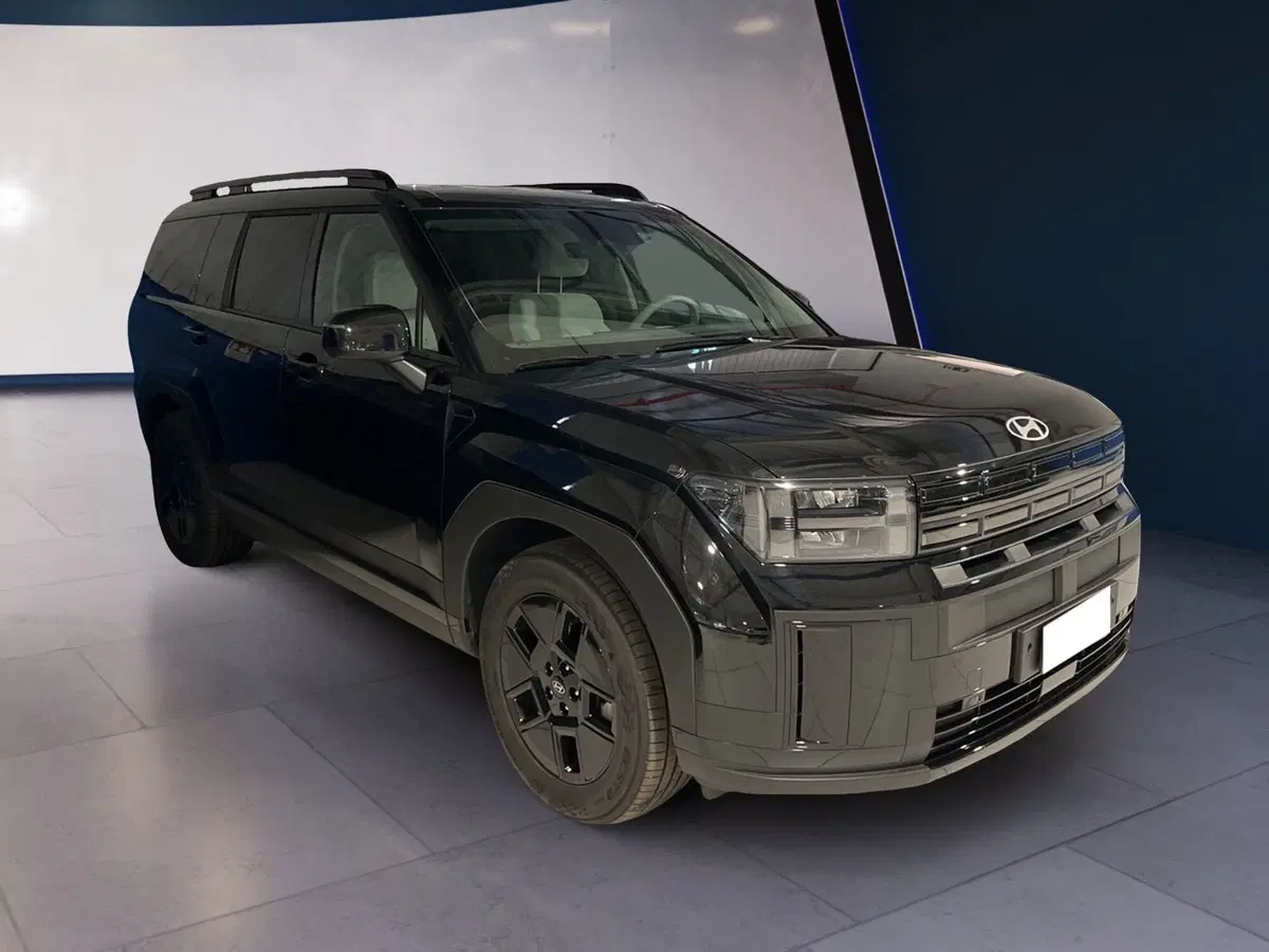 Hyundai Santa Fe usata a Torino (3)