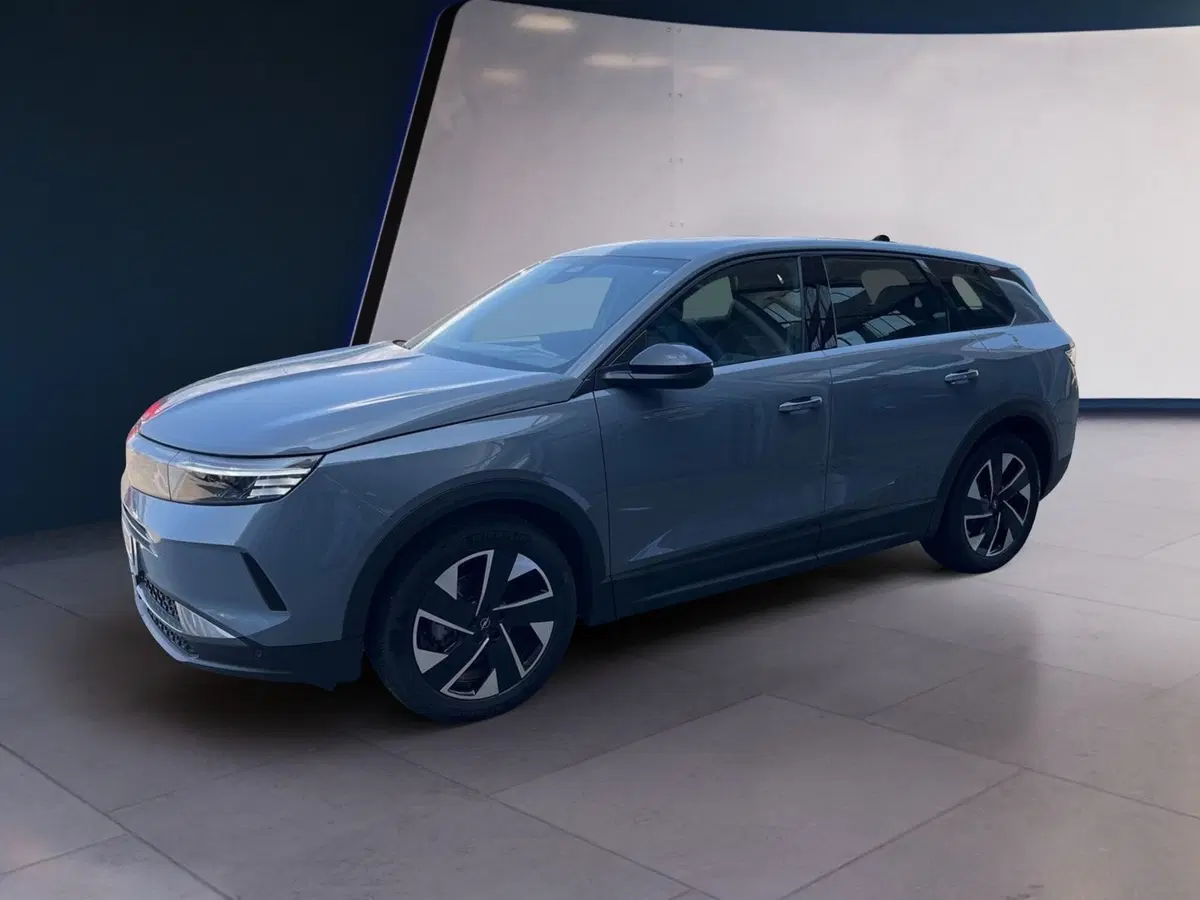 Opel Grandland usata a Torino (2)