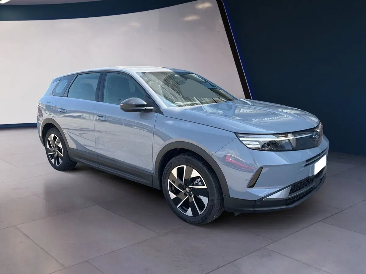 Opel Grandland usata a Torino (3)