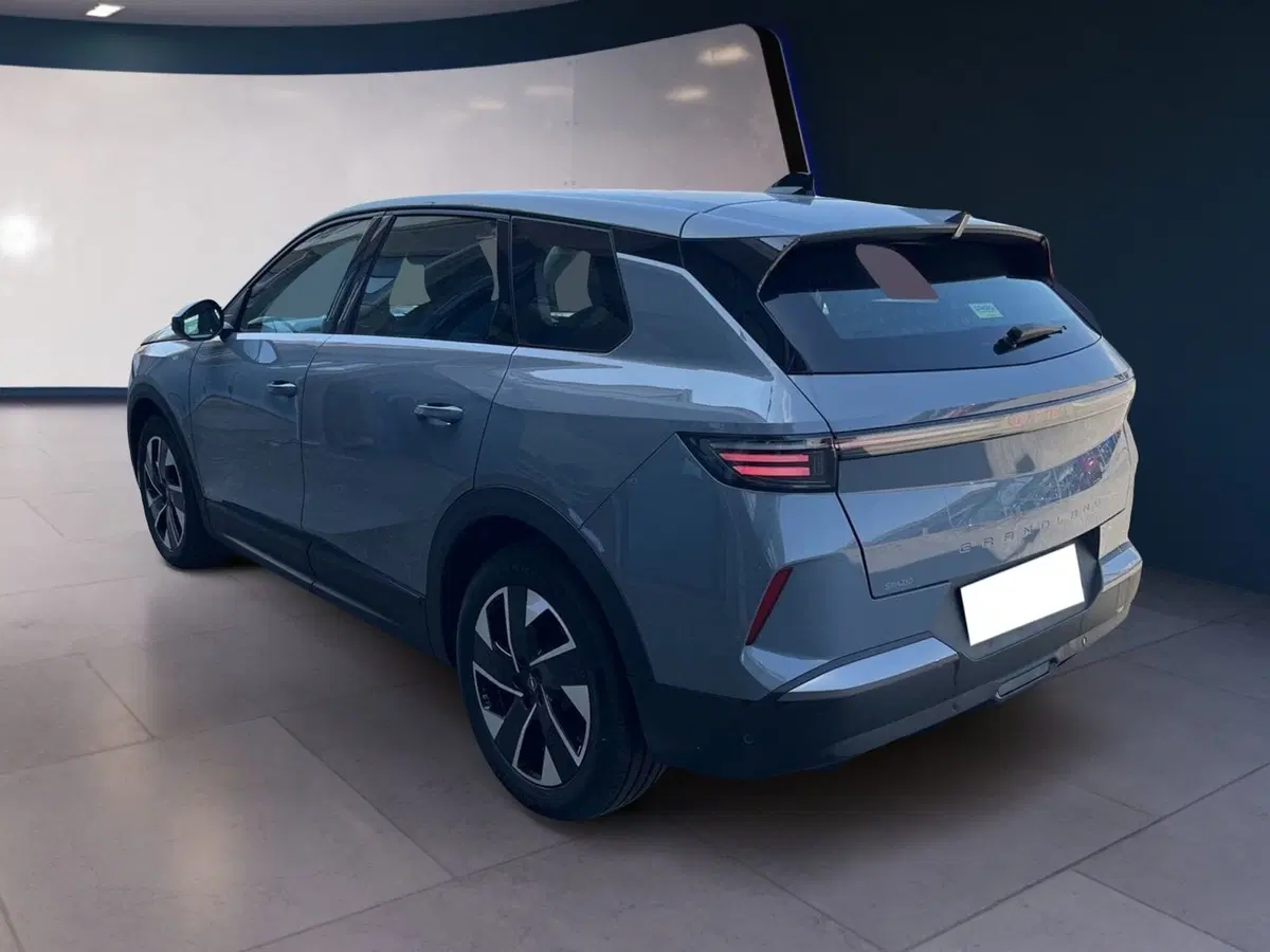 Opel Grandland usata a Torino (6)