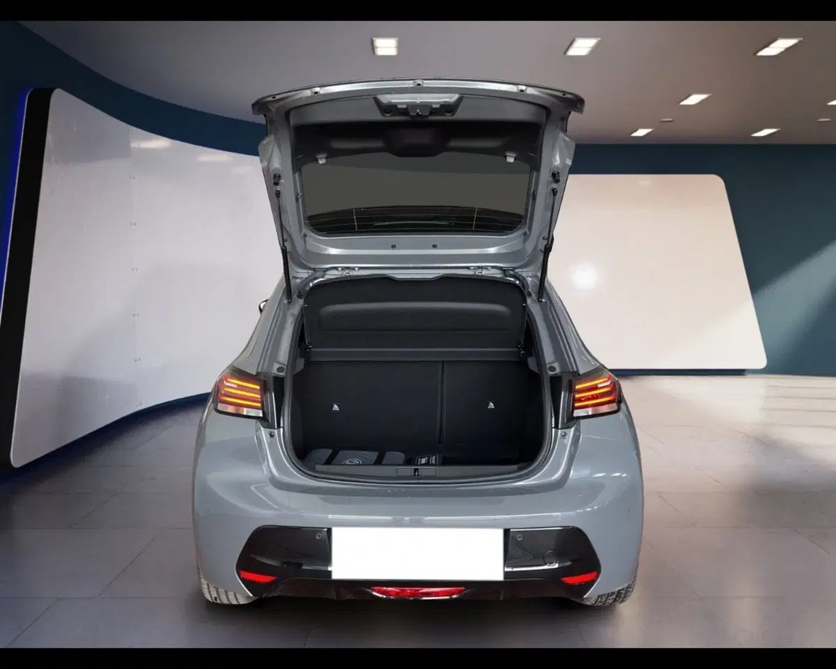 Peugeot 208 usata a Torino (14)