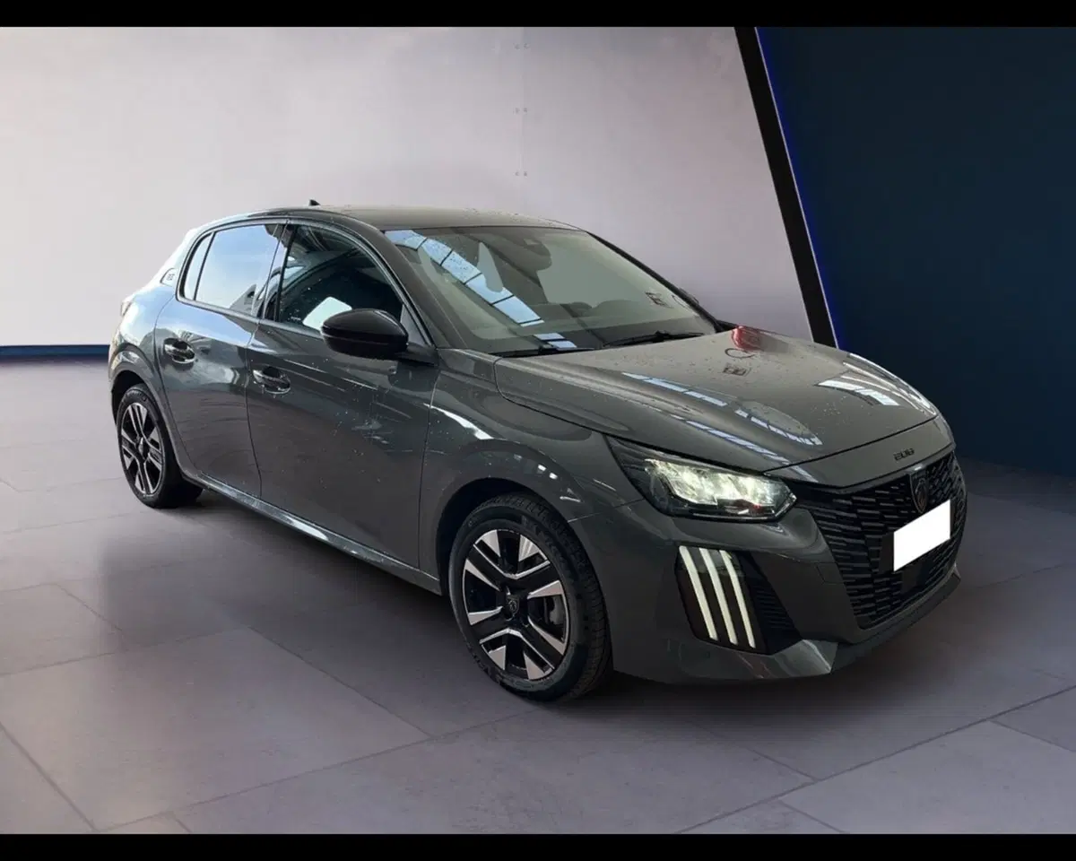 Peugeot 208 usata a Torino (8)