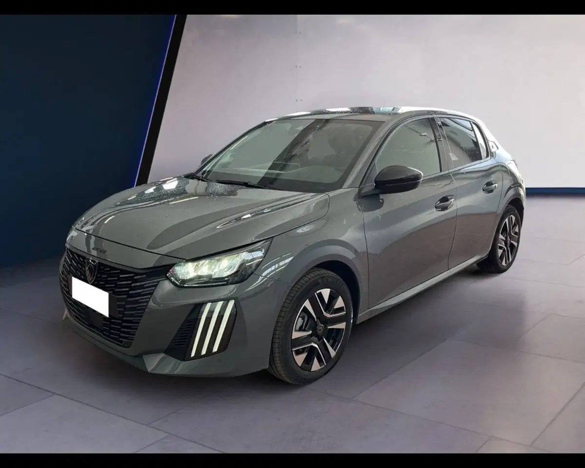 Peugeot 208 usata a Torino (9)