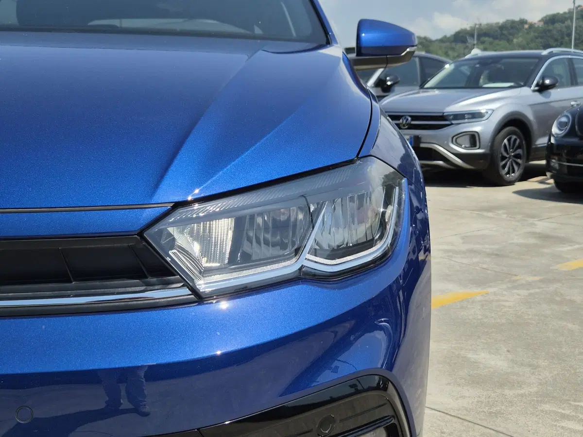 Volkswagen Polo usata  (15)