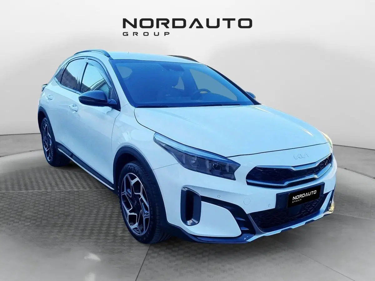 Kia XCeed usata a Belluno (2)