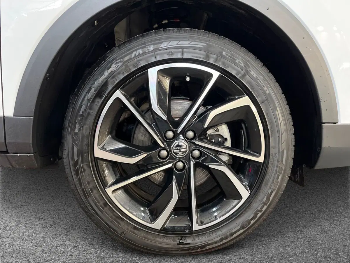 Mg ZS usata a Bari (6)
