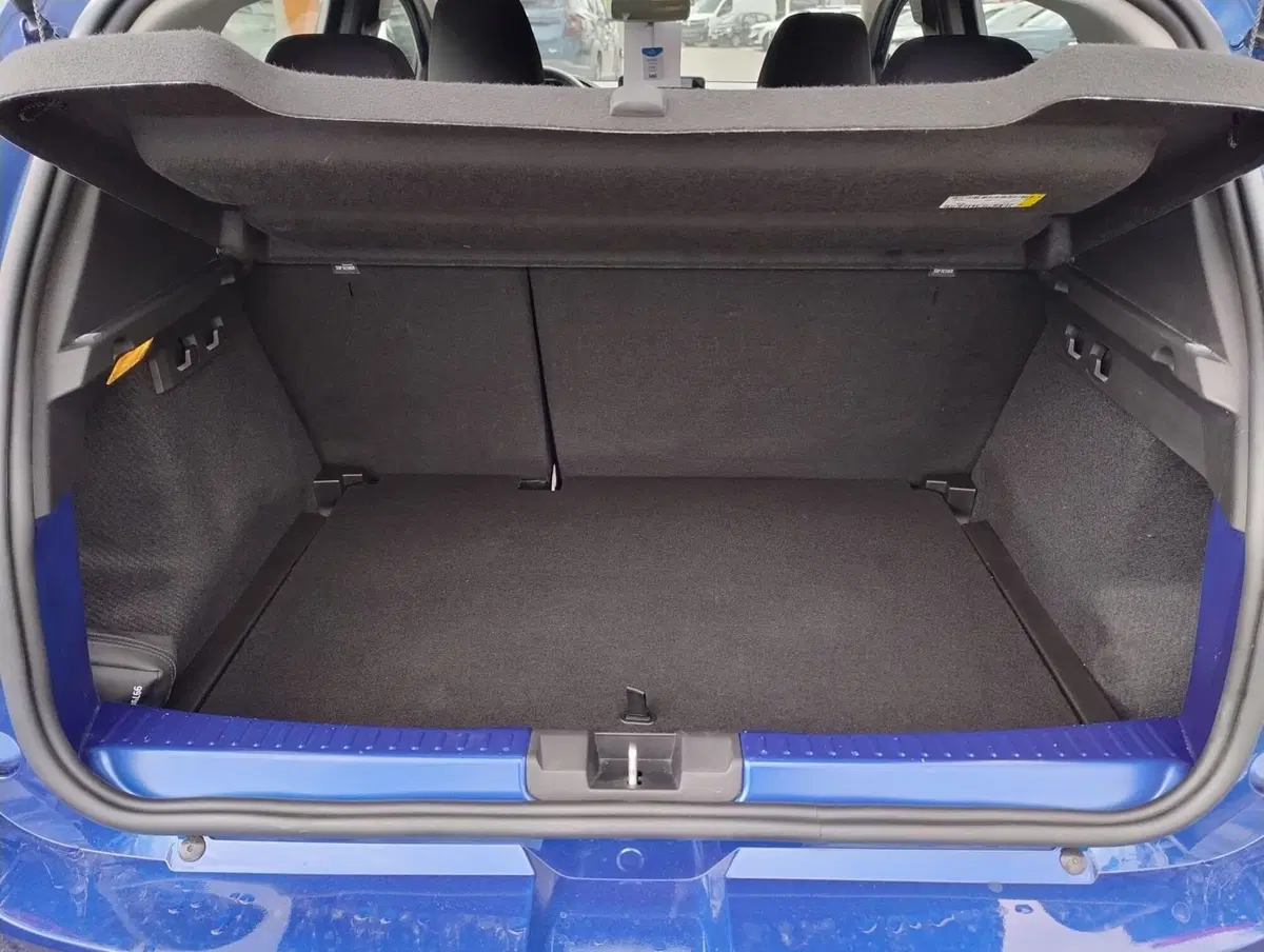 Dacia Sandero usata a Rimini (10)