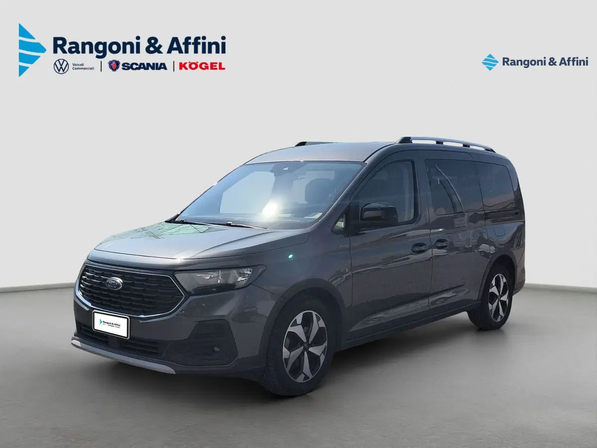 Ford Tourneo Connect usata a Brescia (2)