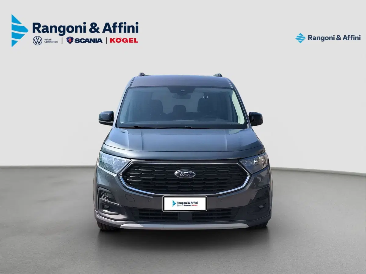 Ford Tourneo Connect usata a Brescia (3)