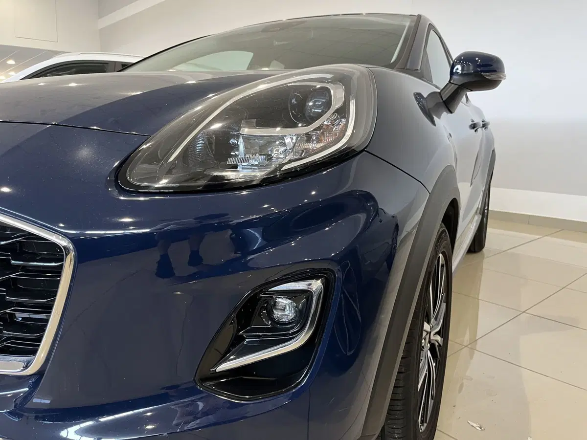 Ford Puma usata a Vercelli (6)