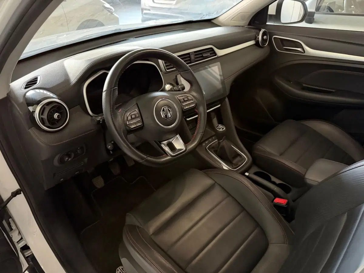 Mg ZS usata a Monza e Brianza (10)
