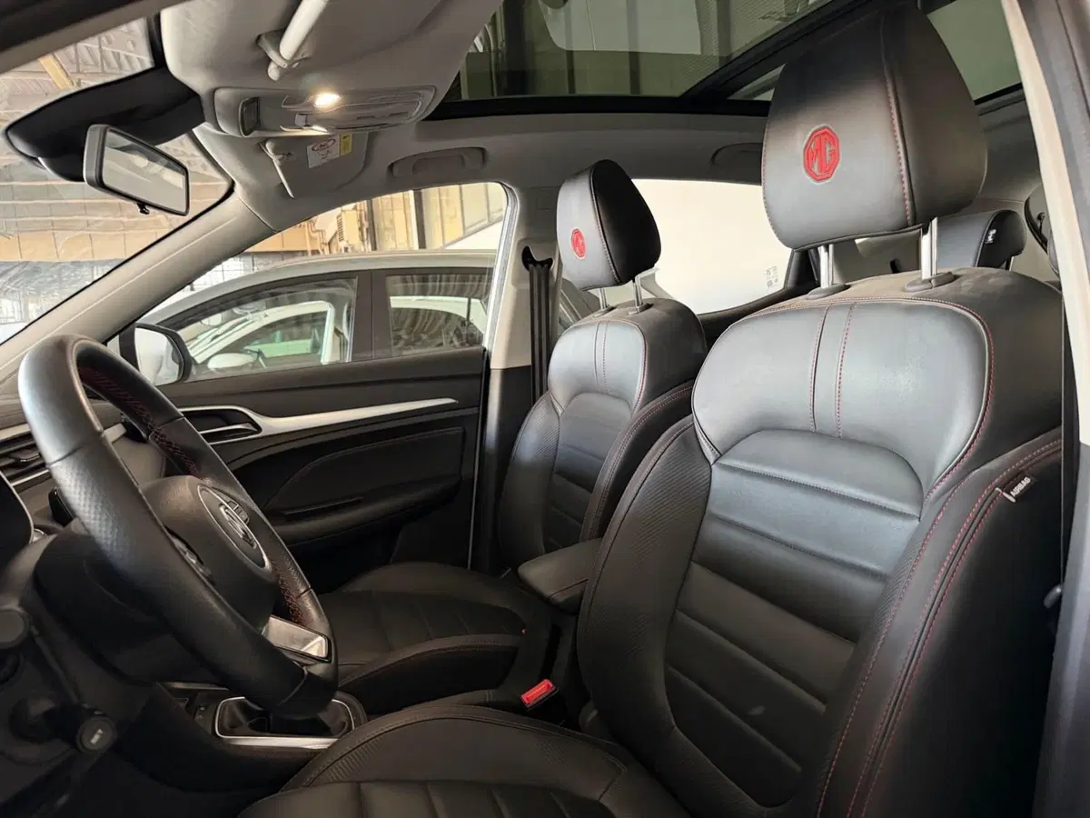 Mg ZS usata a Monza e Brianza (11)