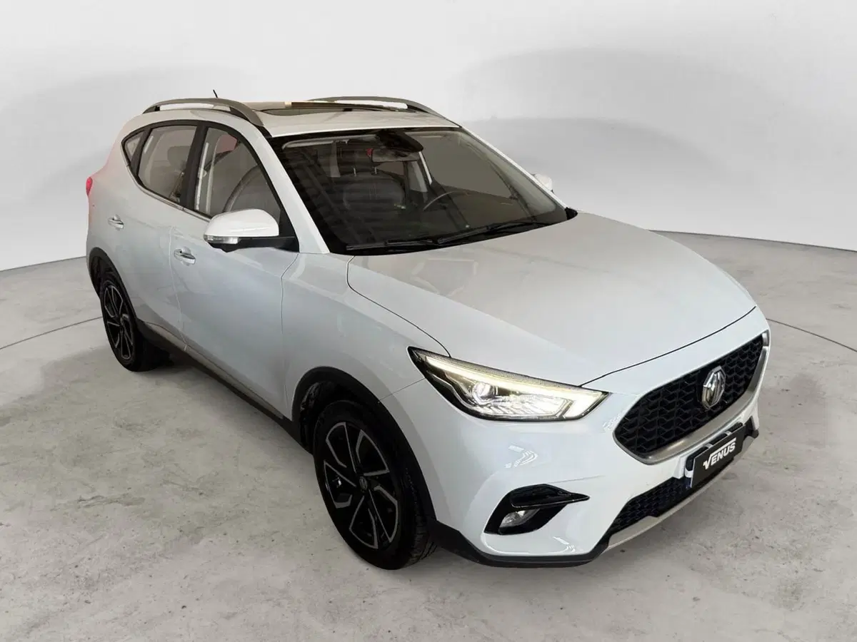 Mg ZS usata a Monza e Brianza (15)