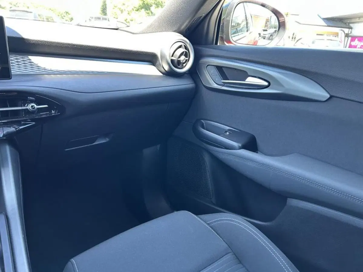Alfa Romeo Tonale usata a Cuneo (19)