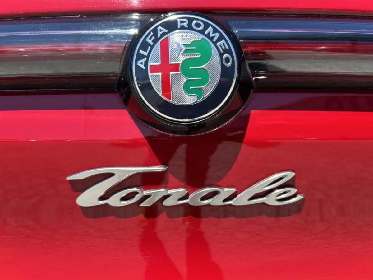 Alfa Romeo Tonale usata a Cuneo (7)