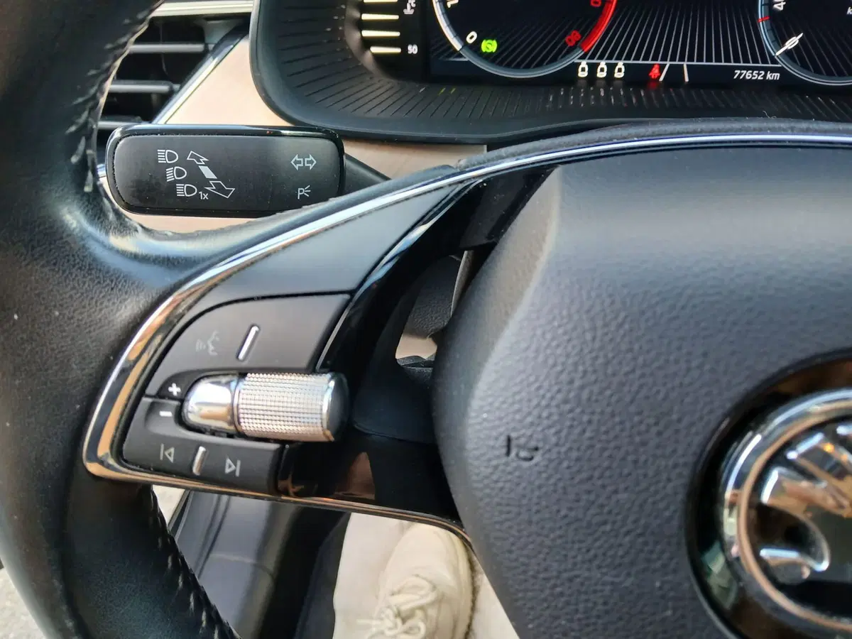 Skoda Kamiq usata a Reggio Calabria (11)