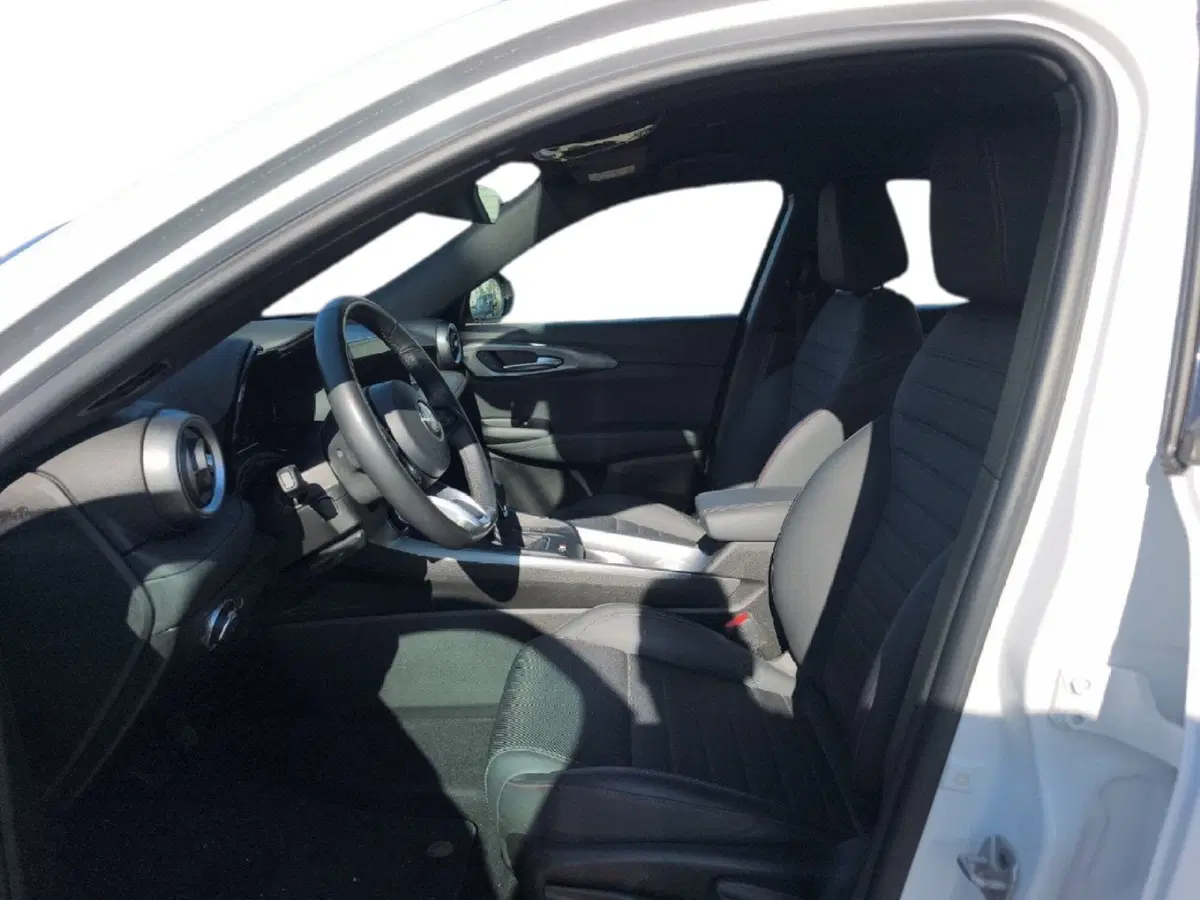 Alfa Romeo Tonale usata a Frosinone (11)