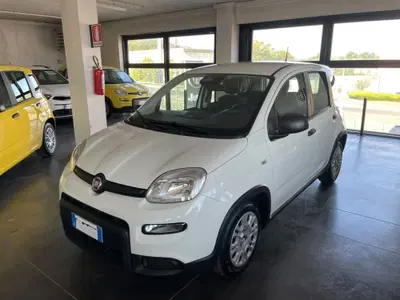 Fiat Panda 1.0 FireFly S&amp;S Hybrid City Cross del 2024 usata a Lucca