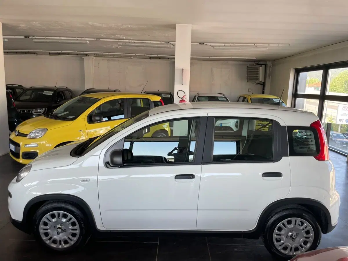 Fiat Panda usata a Lucca (2)