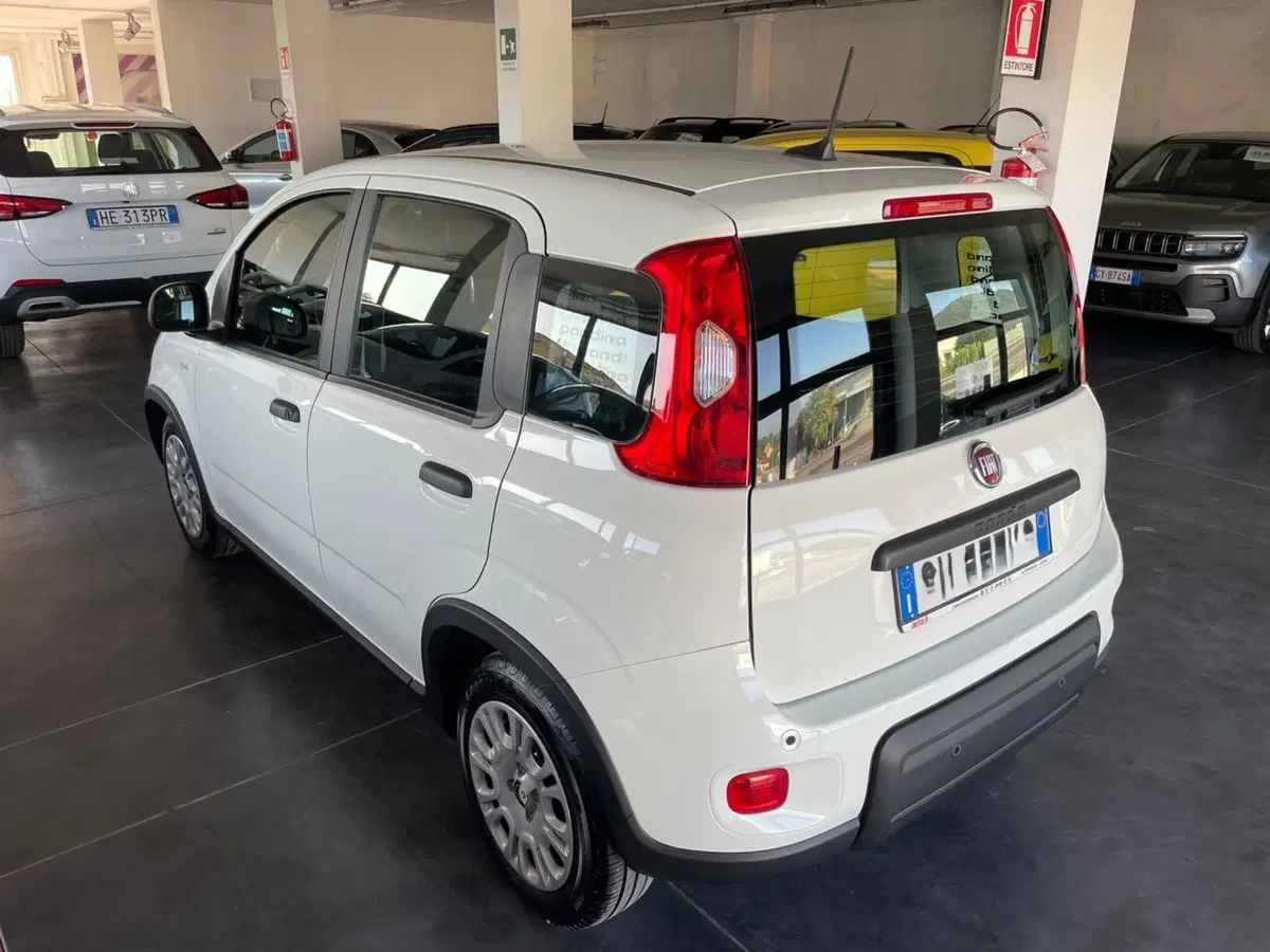 Fiat Panda usata a Lucca (3)