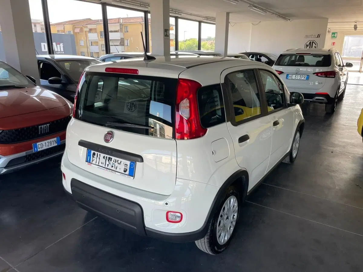 Fiat Panda usata a Lucca (4)