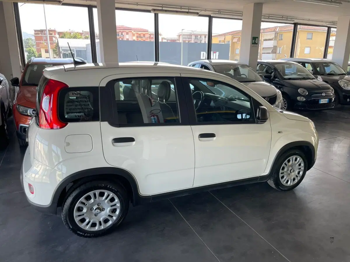 Fiat Panda usata a Lucca (5)