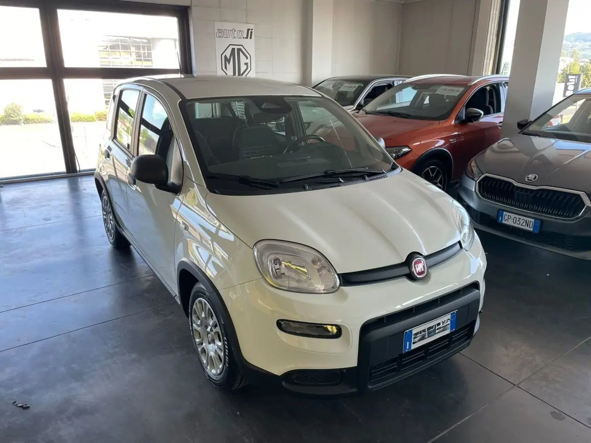 Fiat Panda usata a Lucca (6)