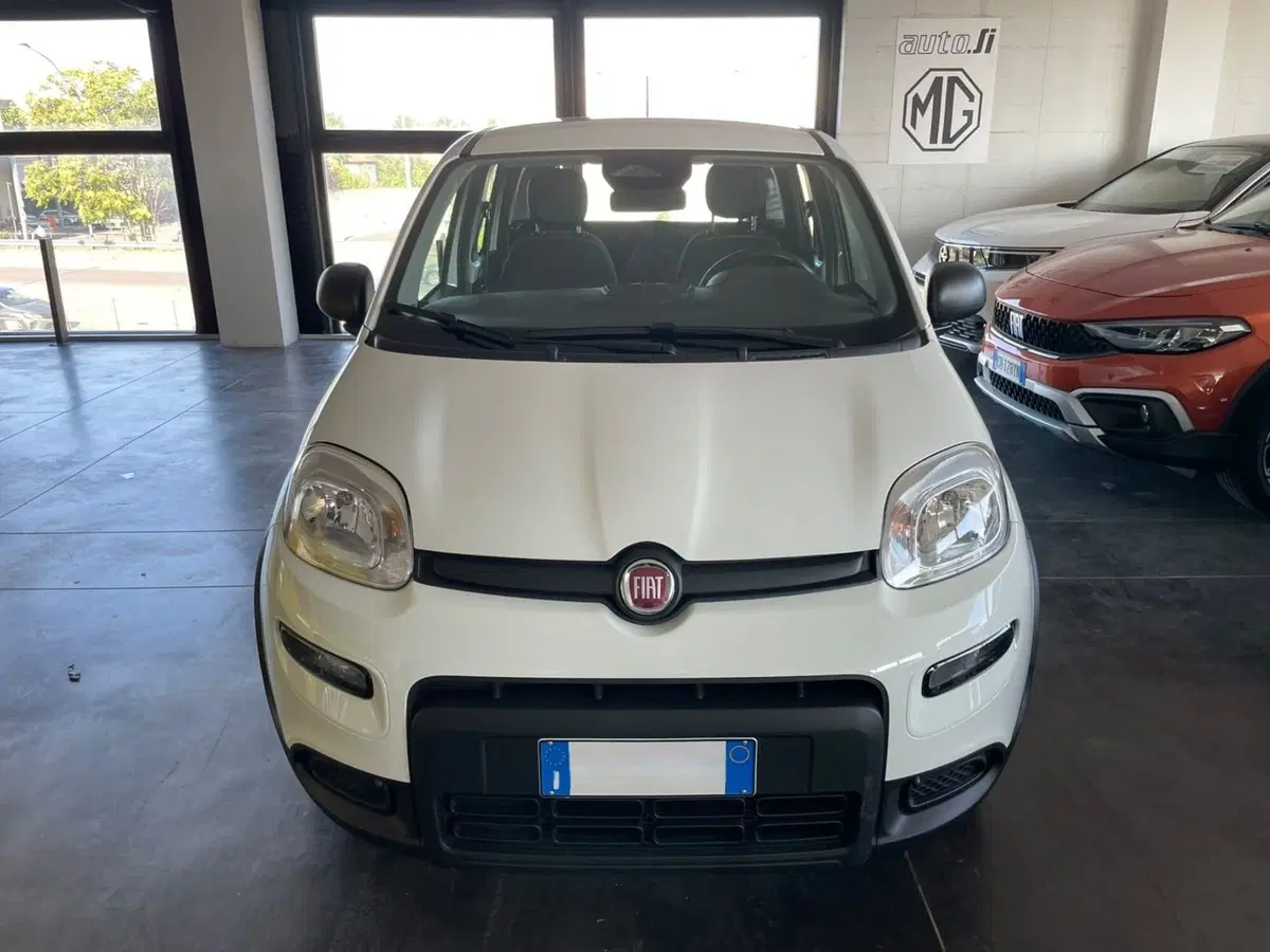 Fiat Panda usata a Lucca (7)
